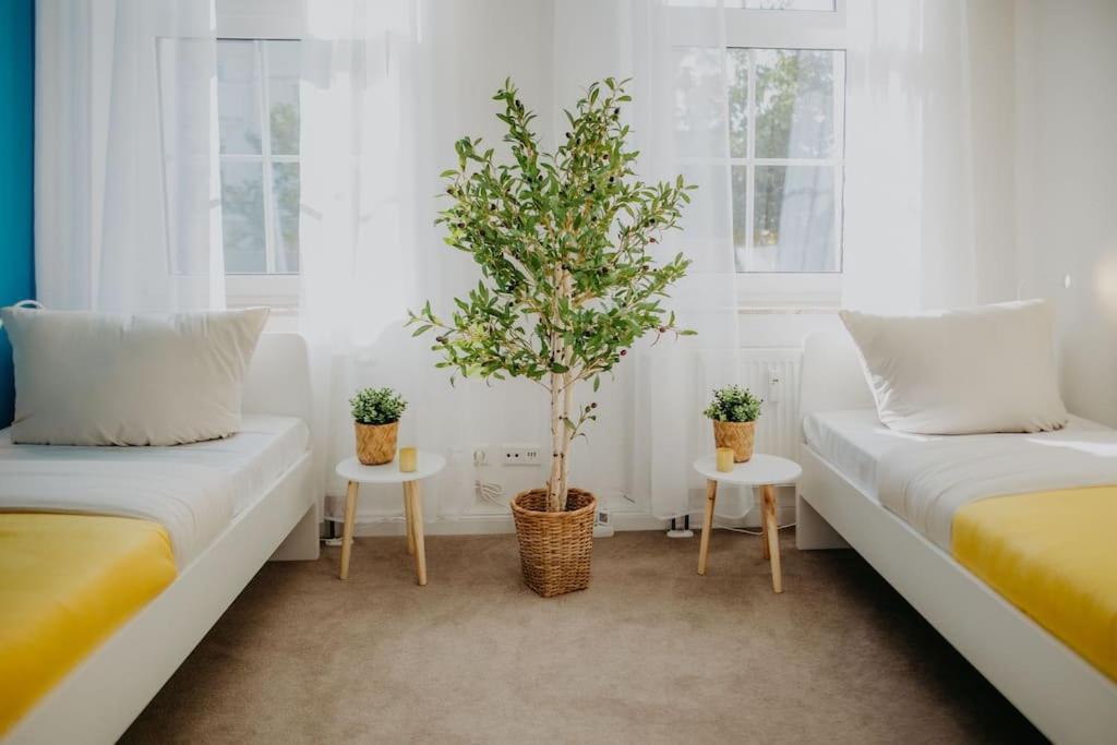 Charmante Ferienwohnung An Der Feingiesserei 슈프렘베르크 외부 사진