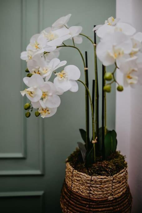 Charmante Ferienwohnung An Der Feingiesserei 슈프렘베르크 외부 사진